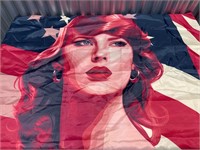 Taylor USA Singer Flag 3x5 Ft