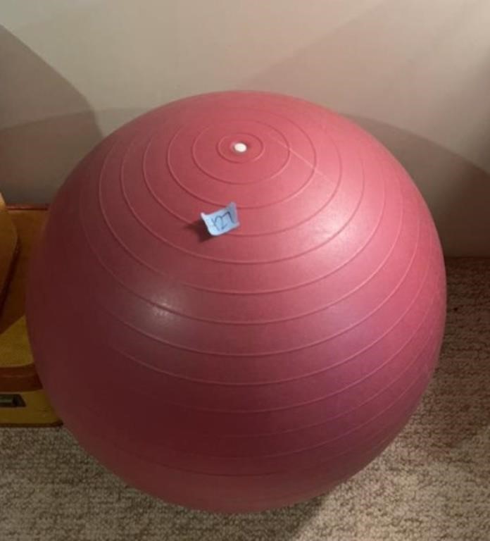 Work out ball