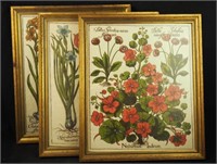 3 Antique 19th Century Framed Flower Art Pictures