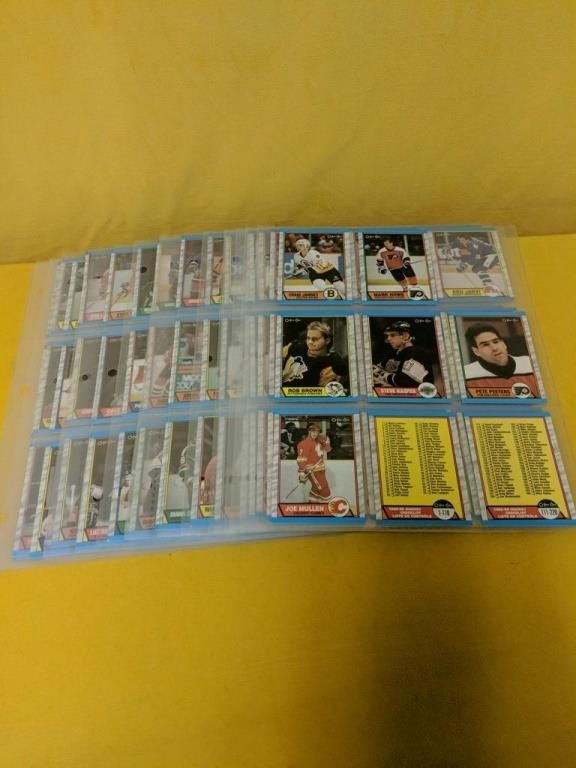 17 pages of hockey cards