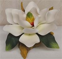 Andreas Flowers “White Magnolia on Branch”
