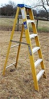 Werner Five Step Ladder