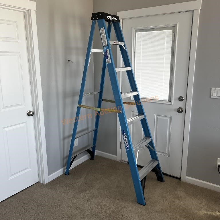 Newer Werner 7ft Ladder