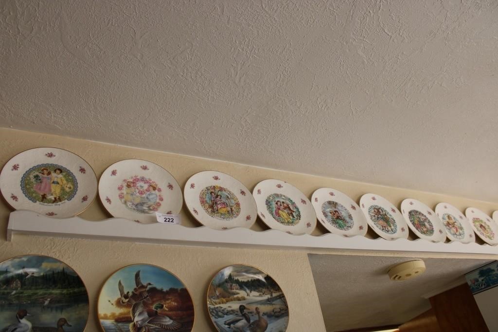 Collector plate collection