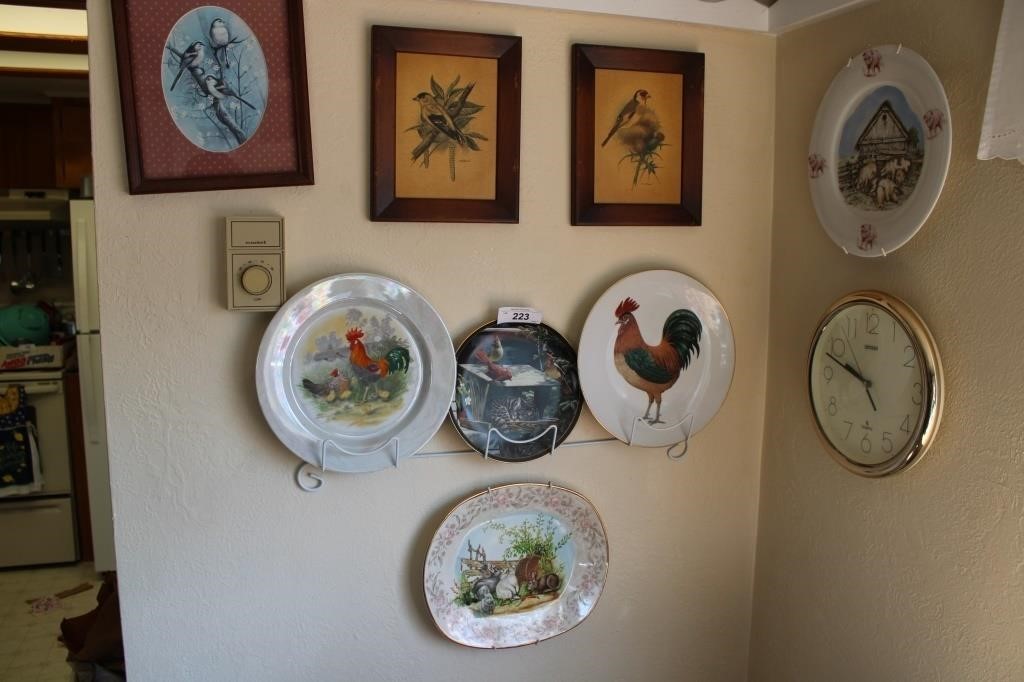 Collector plate collection