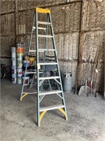 8’ Werner Fiberglass Ladder