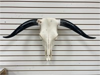 Bleached Long Horn Skull