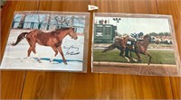 Signed Horse Pictures