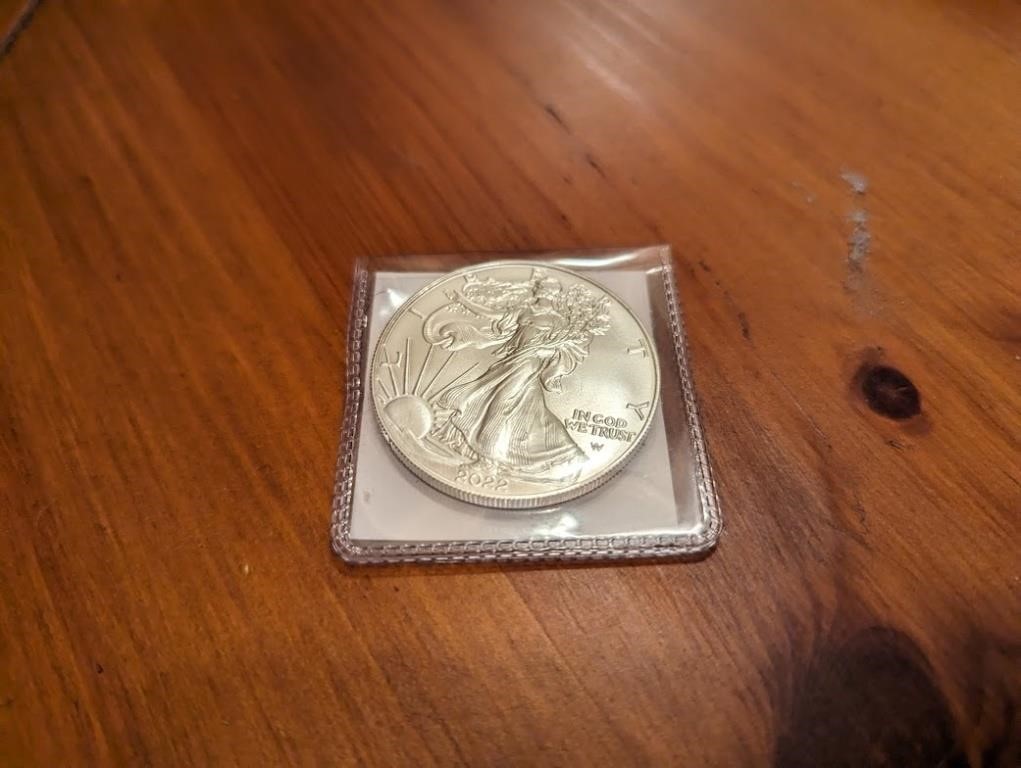 Silver Dollar Walking Liberty