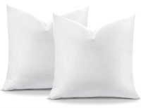 OTOSTAR Pack of 2 Down and Feather Throw Pillow