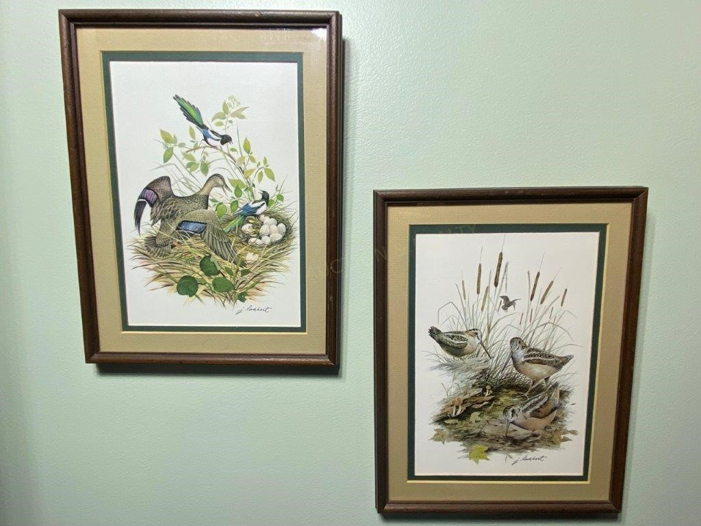 2 Framed Bird Pictures by J. Lockhart