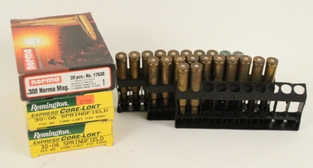 82 Cartridges 30-06 Springfield & 308 Noma Mag