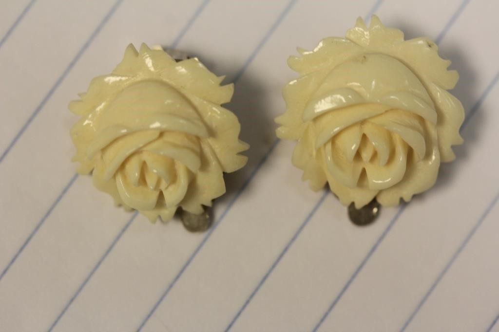 Pair of Carved Bone Earrings