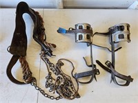 Mallory Tree Climbing Spurs & Belt