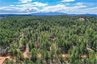 465 Peak View Cir, Florissant, CO 80816