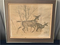 16"x14" Deer Print