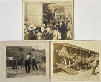 CIRCUS TRAIN AND LOT PHOTOGRAPHS