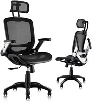 Gabrylly Ergonomic Mesh Office Chair