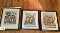 Three Framed Botanical Prints Art. 22in x 27.5