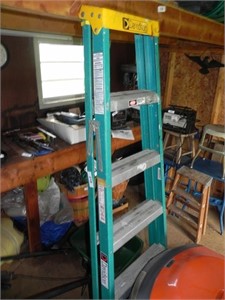 Davidson 6 ft. Step Ladder