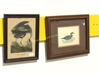 Lot of Two Framed Antique Bird Prints