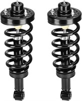 Rear Strut Shock Assembly w/Coil Spring for Ford
