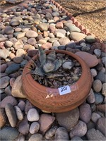 Terra Cotta Planter / Cactus