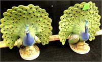 Pair of Peacocks Letson