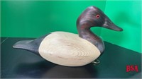Canvas Back Duck on a Stand