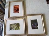 3 professionally framed Flower photography / signe