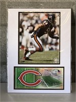 USPS Chicago Bears Collectible