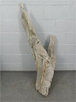 Large Piece Of Driftwood