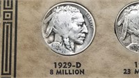 1929 D Buffalo Nickel From A Set