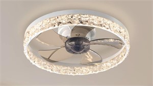 Low Profile Ceiling Fan with Light - used