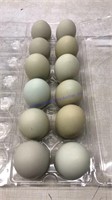 1 Doz Med Green Eating Eggs