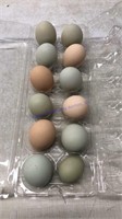 1 Doz Small Green Eating Eggs