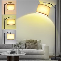 LANICHO 3-Color Floor Lamp