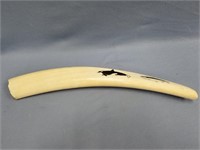 Colored scrimshawed ivory tusk with an orca and a