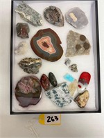 Deep Display Box 12" x 16" Minerals