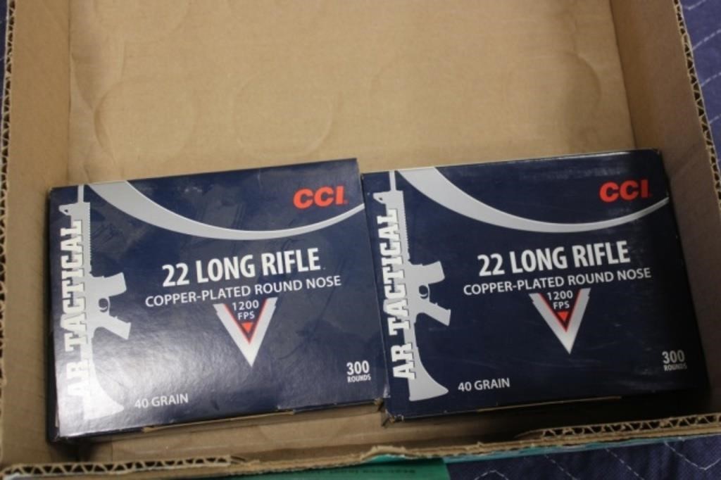 600 Rds .22 LR CCI Tactical Ammo