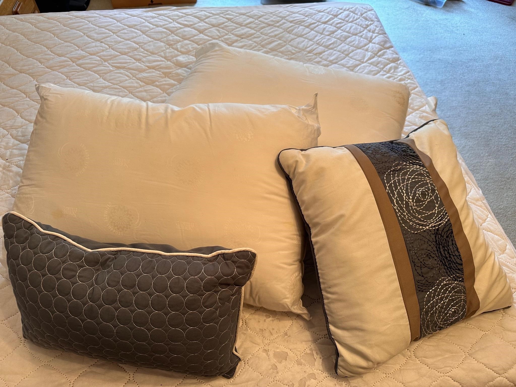 2 spring maid pillows and 2 decor pillows