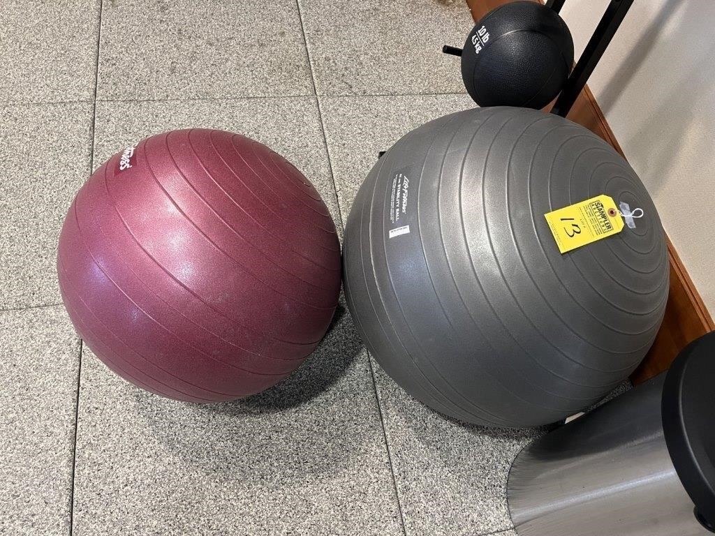 LIFE FITNESS ASSORTED SIZE STABLIITY BALLS