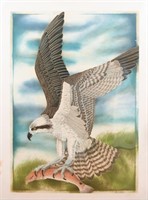LARGE JOHN COSTIN "OSPREY" COLORED ETCHING