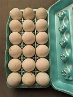 1.5 Dozen Duck Eggs for Hatching or Eating