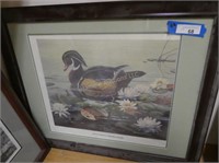 "Wood Duck and Water Lilies" signed print - 432/