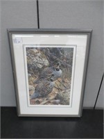 FRAMED LIMITED EDITION SIGNED BIRD PRINT #483/950