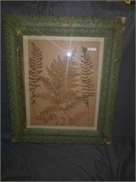 Late 1800s frame with dried ferns.