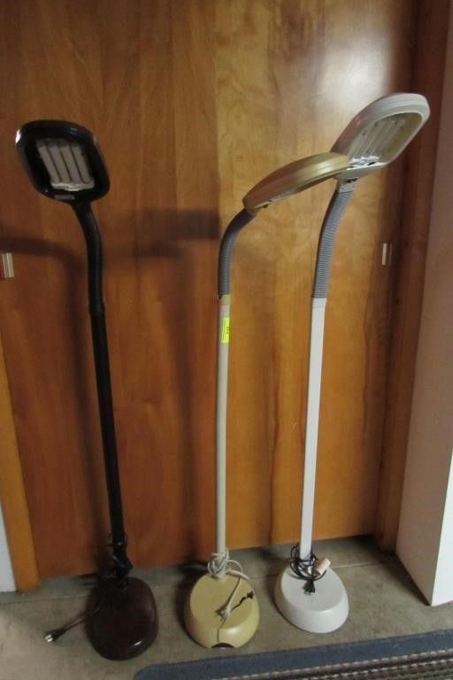 3 Floor Lamps