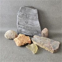 Fossil Rock Collection w/a Dendritic Rock &