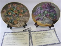 2  Collector Plates